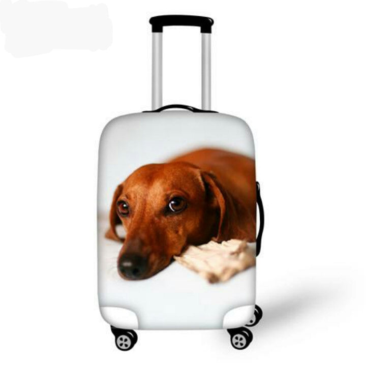 Fashioned Dachshund Travel Luggage Covers 🐾
