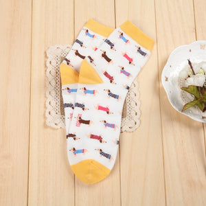 Soft Multicolor Dachshund Socks 🐾